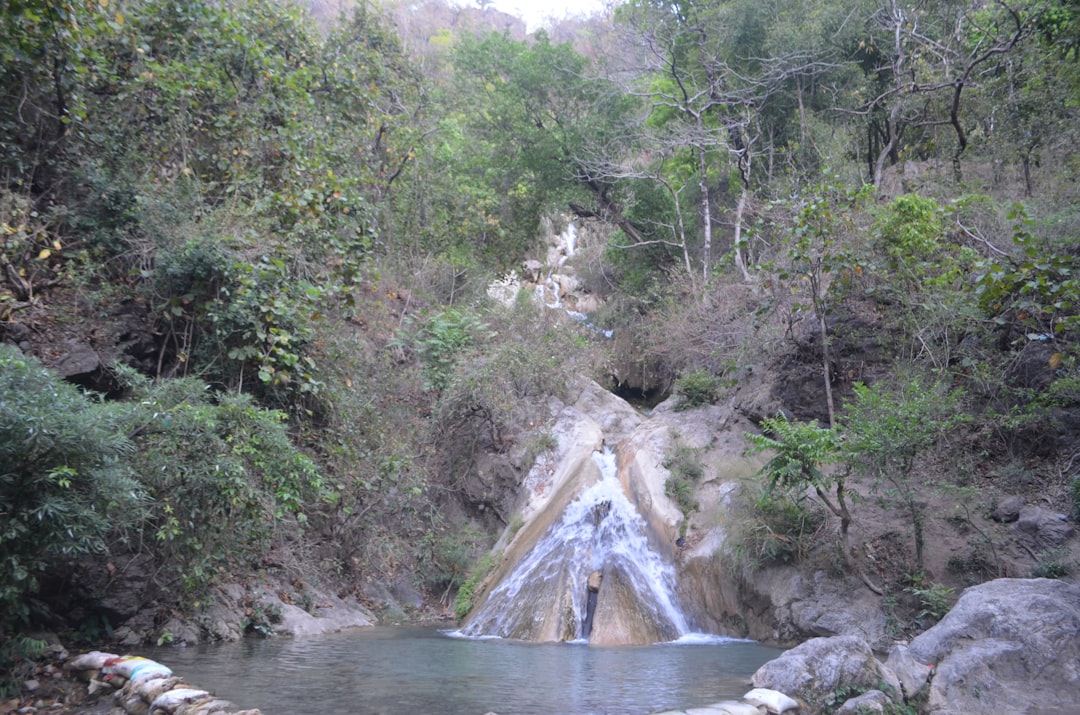 グア・テンポルン：ゴペンの野生の洞窟 - 31600 Gopeng | Secret World Trip Planner