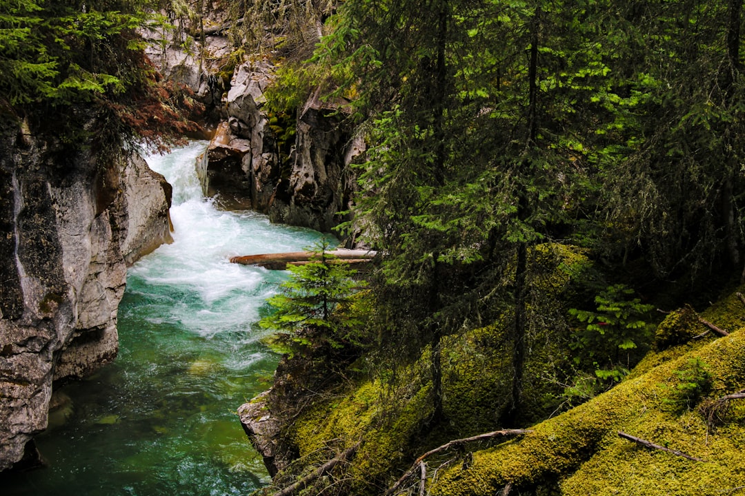 Johnston Canyon: Waterfalls and Canyons in the Rockies - Improvement District No. 9 | Secret World Trip Planner