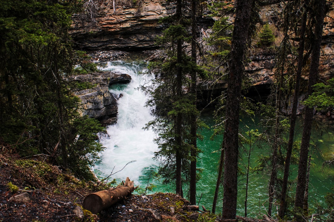 Cañón Johnston: cascadas y paisajes en las Rocosas - Improvement District No. 9 | Secret World Trip Planner