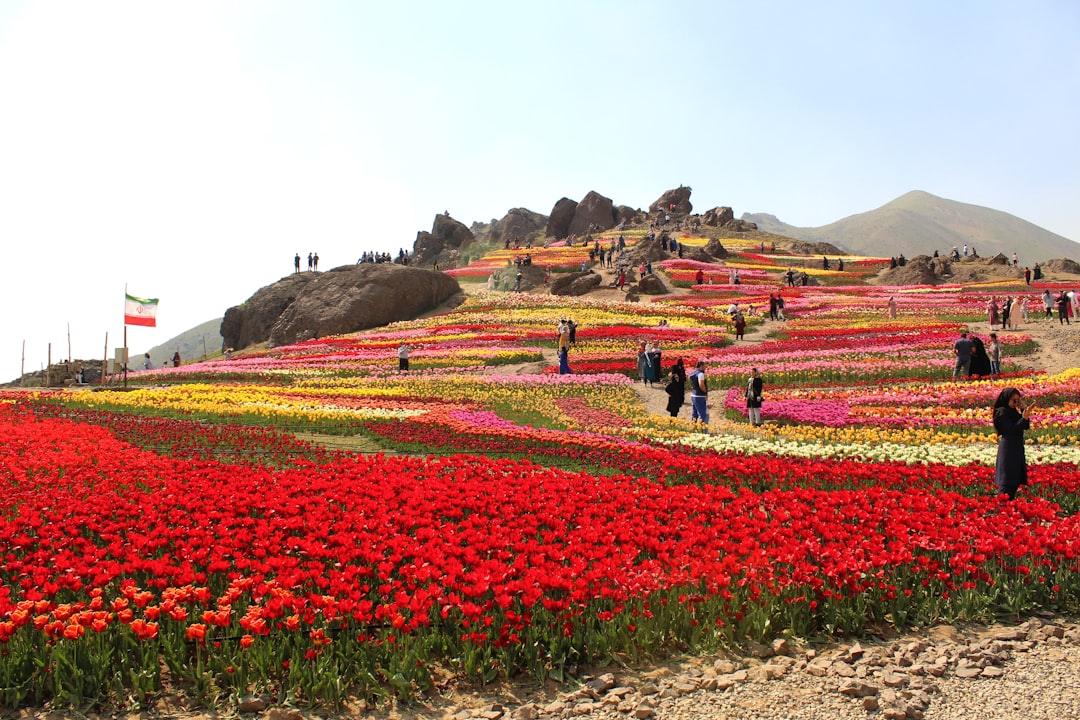 Vallée des Fleurs à Yumthang : fleurs en altitude - Yumthang | Secret World Trip Planner