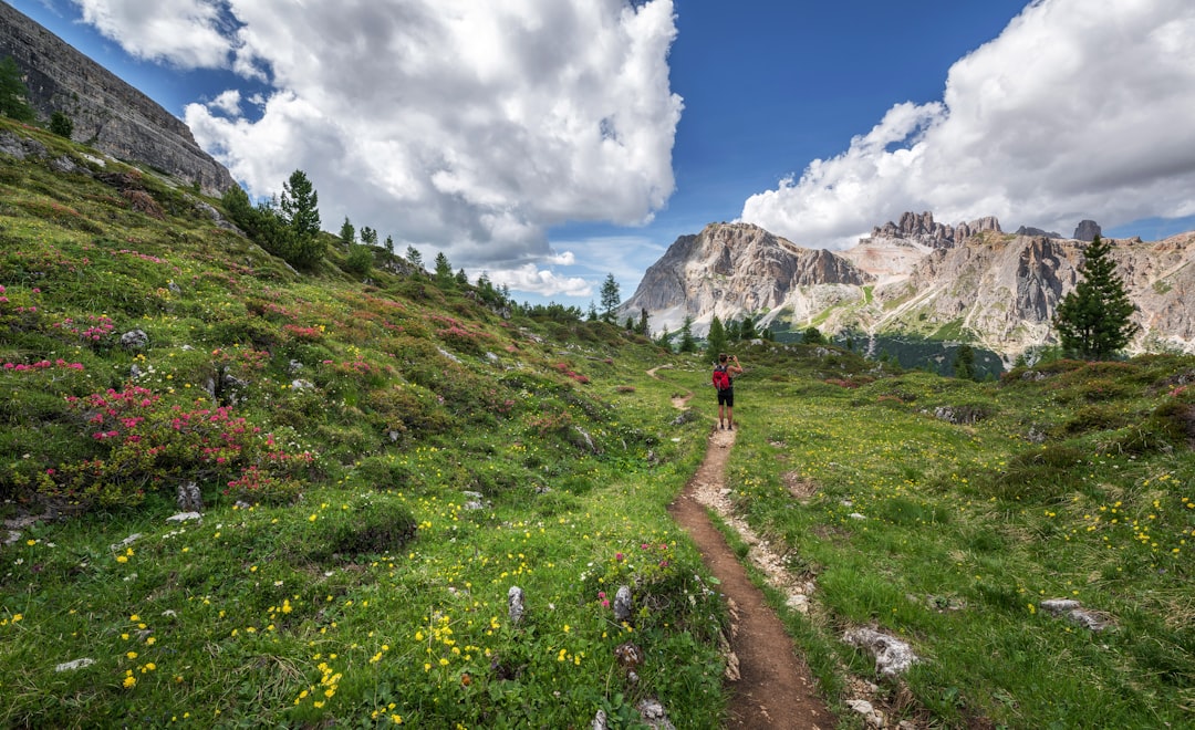 Vale das Flores em Yumthang: flores em alta altitude - Yumthang | Secret World Trip Planner
