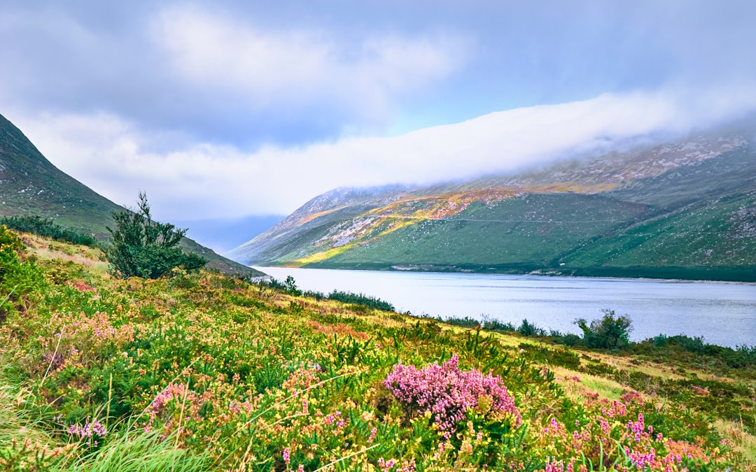 Vale das Flores em Yumthang: flores em alta altitude - Yumthang | Secret World Trip Planner