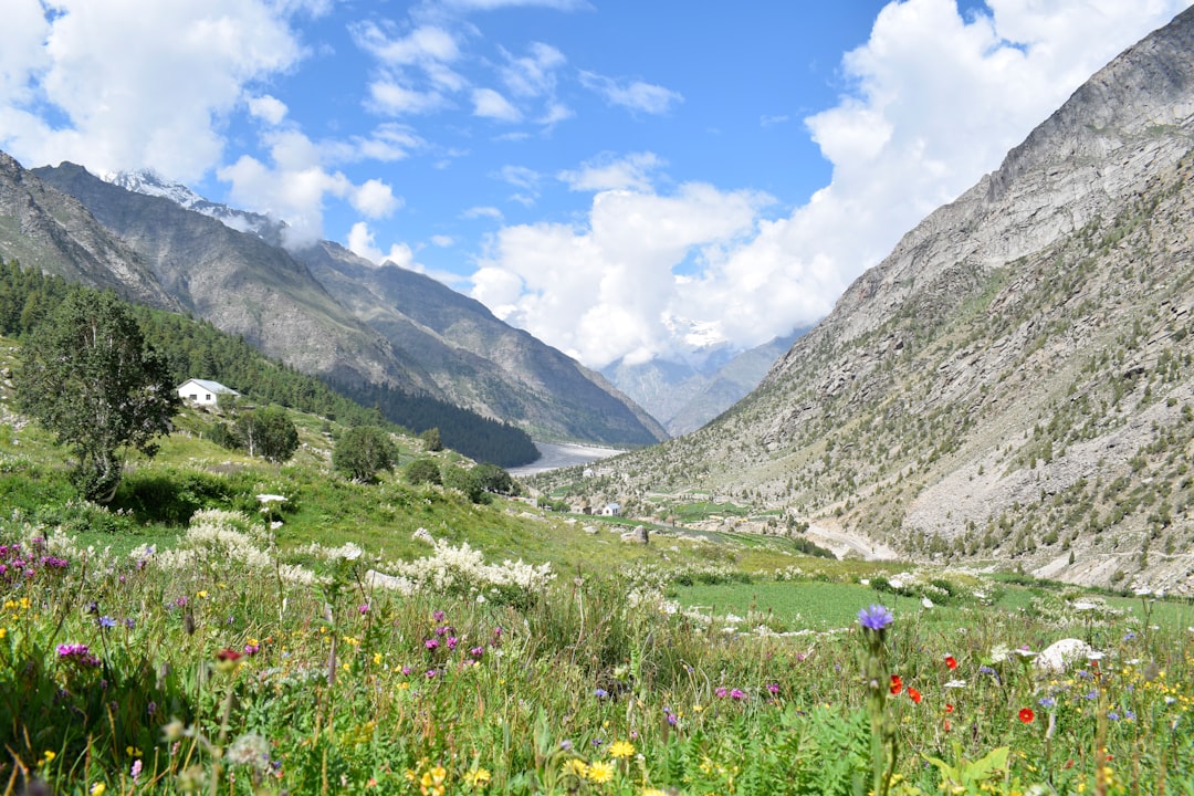 Vale das Flores em Yumthang: flores em alta altitude - Yumthang | Secret World Trip Planner