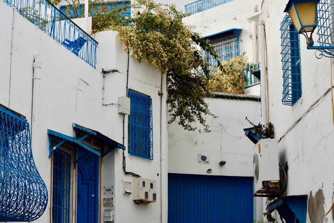 Los souks de Túnez: aromas y colores en la Medina - Q5WC+J77 | Secret World Trip Planner