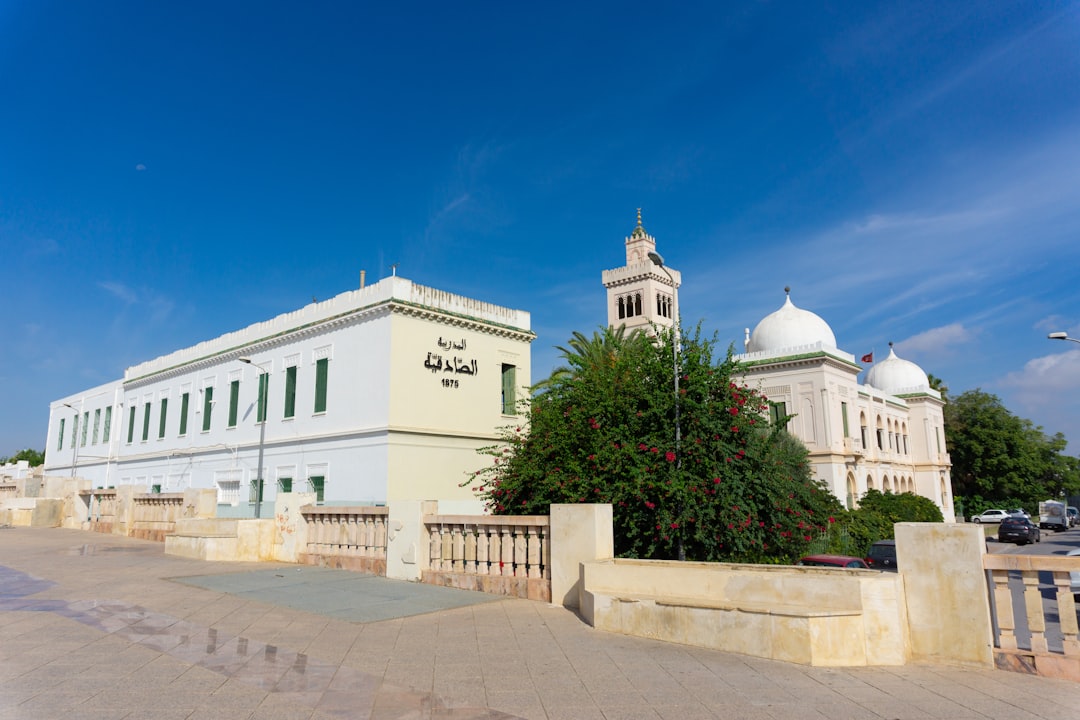 Bardo Museum: Discover Tunisian Roman Mosaics - RN 7 | Secret World Trip Planner