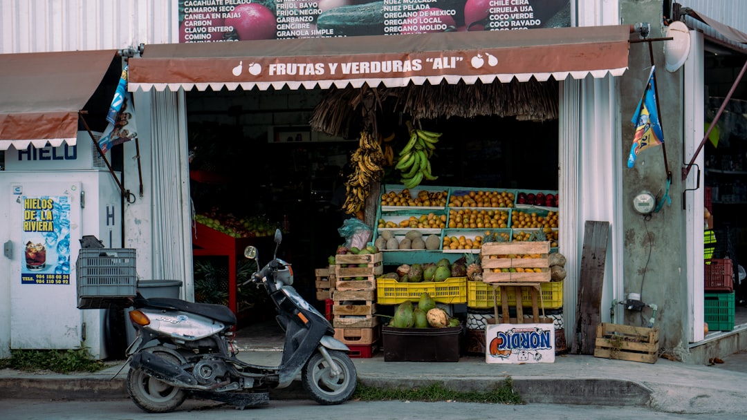 Cuatro Caminos: o mercado histórico de Havana - Ave de México Cristina | Secret World Trip Planner