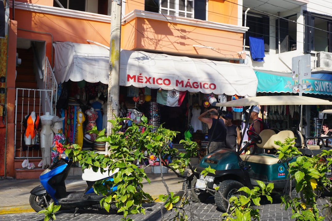 クアトロカミノス：ハバナの歴史的市場 - Ave de México Cristina | Secret World Trip Planner