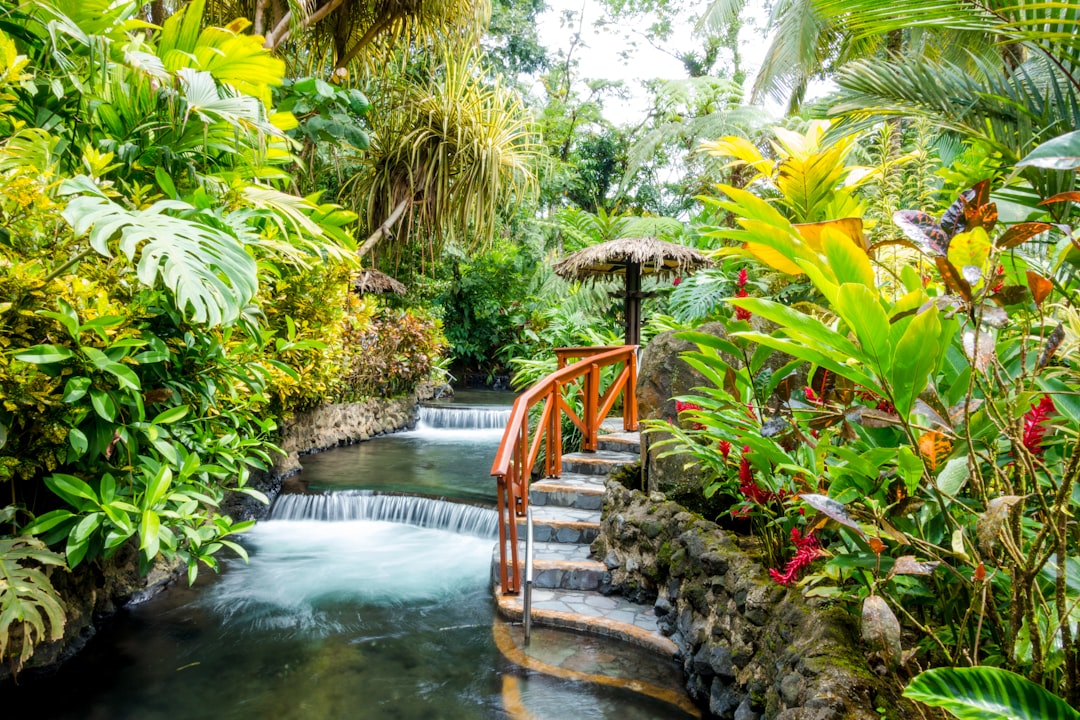Aguas Termales de Tabacón: Relax en Costa Rica - La Fortuna | Secret World Trip Planner
