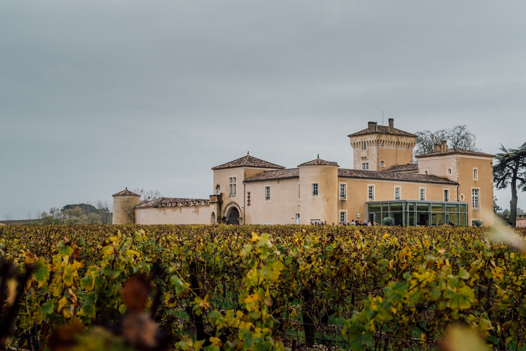 Wine Museum Brotte: vini e terroir a Châteauneuf-du-Pape - Av. Saint-Pierre de Luxembourg | Secret World Trip Planner