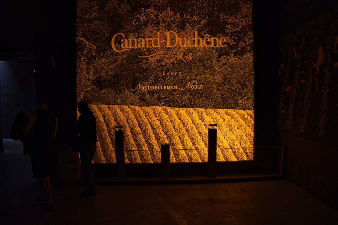 布罗特葡萄酒博物馆:查特纽夫-杜-帕普的美酒与风土 - Av. Saint-Pierre de Luxembourg | Secret World Trip Planner