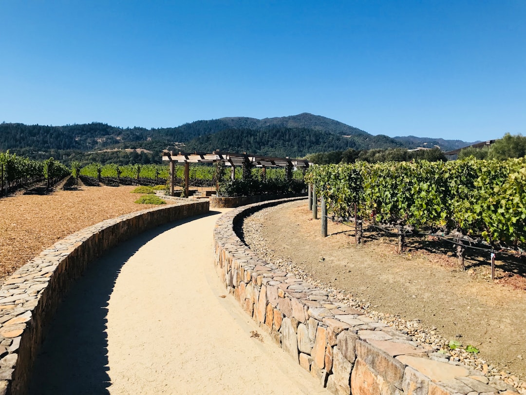 Train de Vin de Napa Valley : paysages et vins en voyage — Napa