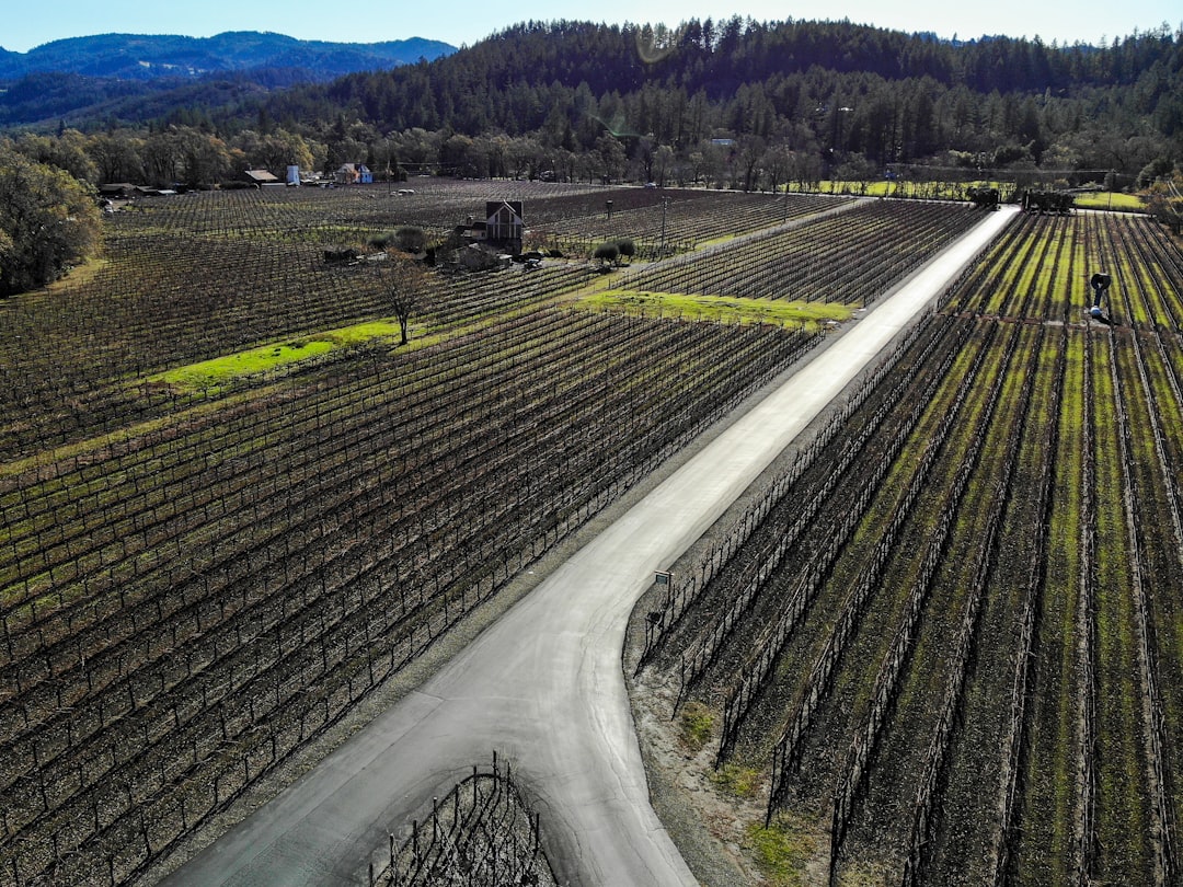 Trem do Vinho no Vale de Napa: paisagens e sabores - Napa | Secret World Trip Planner