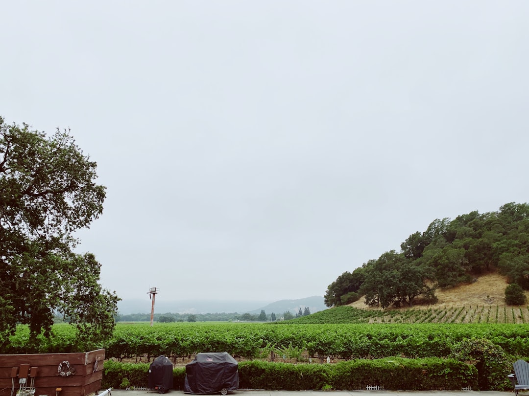 ナパバレーのワイントレイン:ワインと風景の旅 - Napa | Secret World Trip Planner