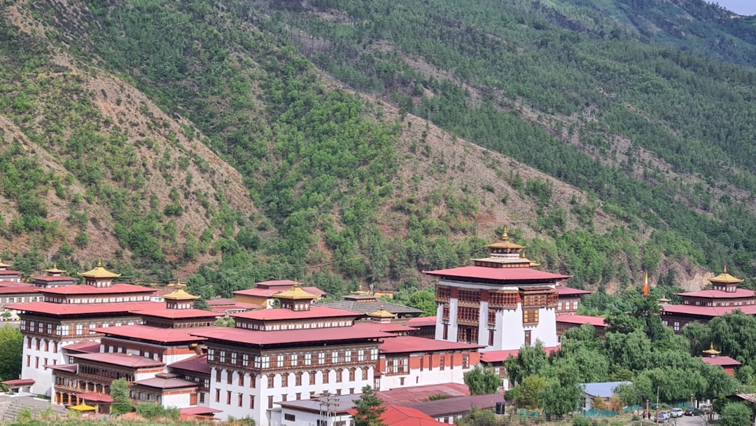 Вина высоких гор в Шангри-Ла: между виноградниками и Гималаями - Diqing Tibetan Autonomous Prefecture | Secret World Trip Planner