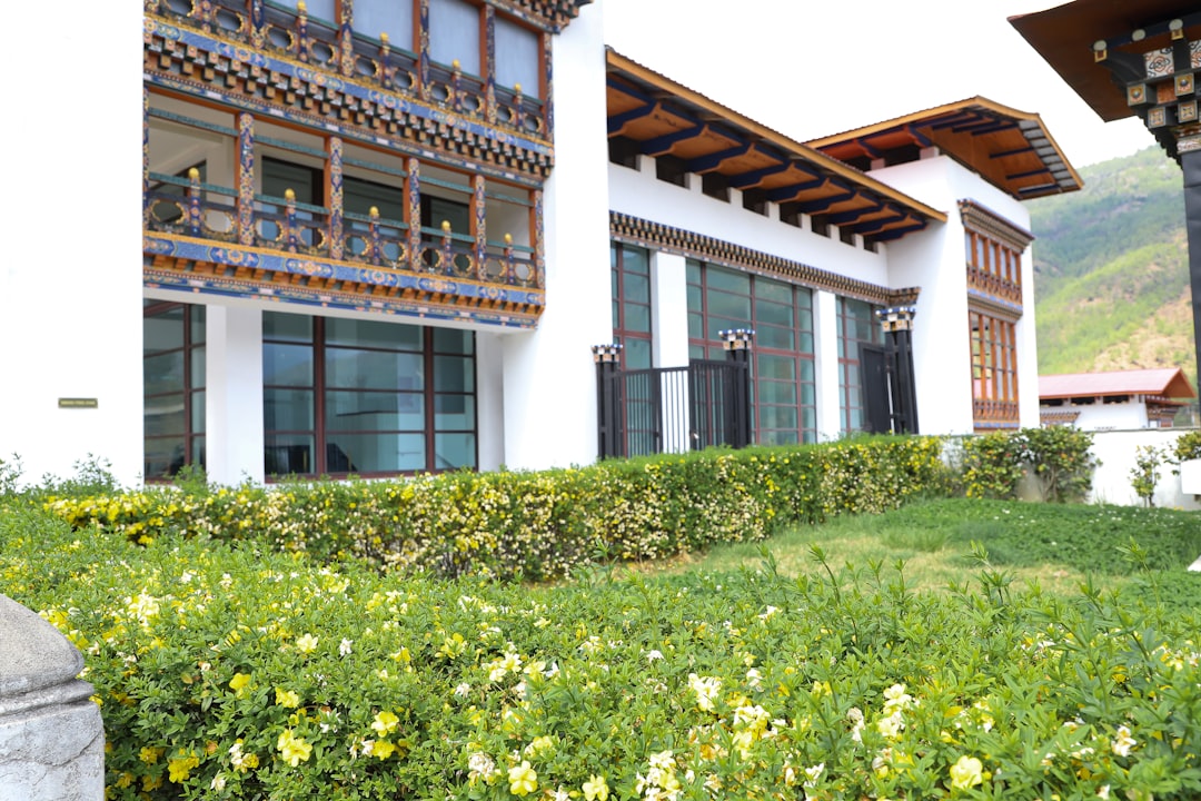 シャングリラの高地ワイン:ブドウ畑とヒマラヤ - Diqing Tibetan Autonomous Prefecture | Secret World Trip Planner