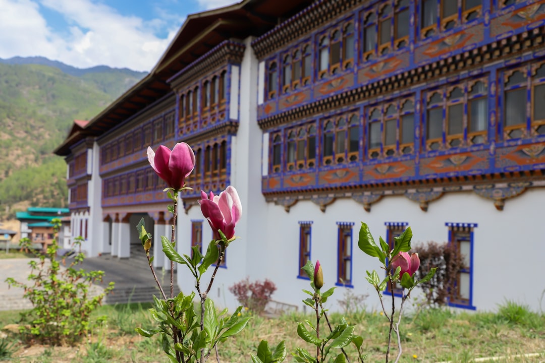 香格里拉的高山葡萄酒:在葡萄园与喜马拉雅之间 - Diqing Tibetan Autonomous Prefecture | Secret World Trip Planner