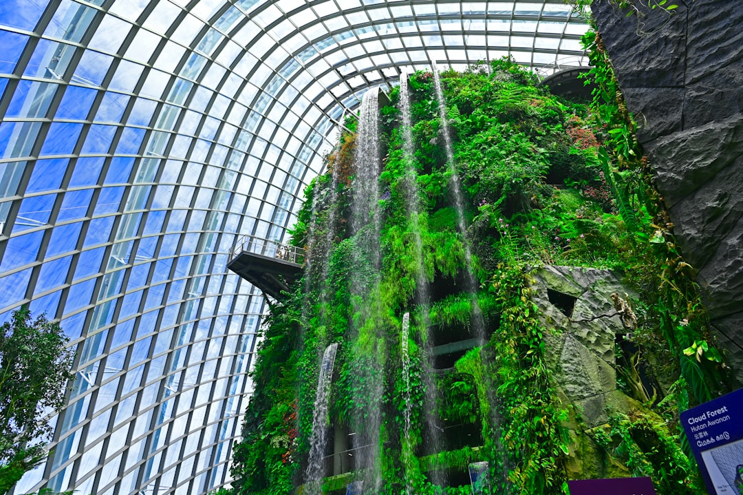 Cloud Forest Singapore: Art and Nature 115 Feet Up - 18 Marina Gardens Dr | Secret World Trip Planner