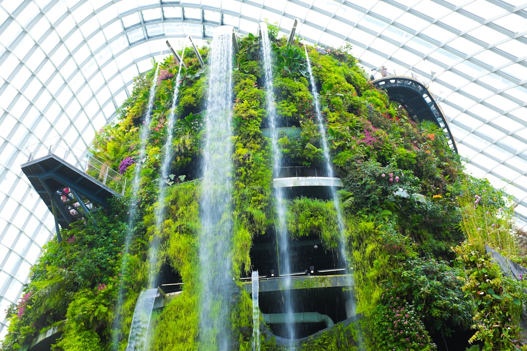 Wolkenwald Singapur: Kunst und Natur in 35 Metern - 18 Marina Gardens Dr | Secret World Trip Planner