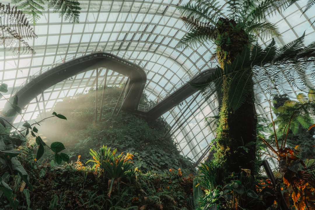 Floresta Nublada em Singapura: arte e natureza a 35m - 18 Marina Gardens Dr | Secret World Trip Planner