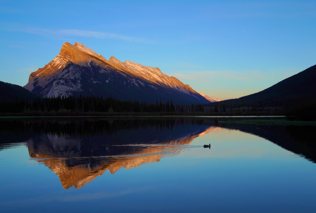 Vermilion Lakes: Wasserflächen am Fuß der Rockies - Banff | Secret World Trip Planner