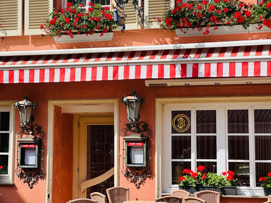 Museo del Vino della Mosella a Bernkastel-Kues - Cusanusstraße 2 | Secret World Trip Planner