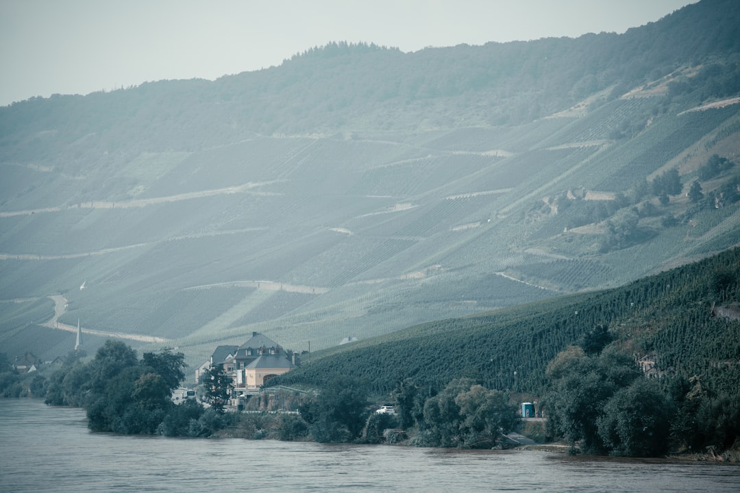 Moselle Wine Museum in Bernkastel-Kues - Cusanusstraße 2 | Secret World Trip Planner
