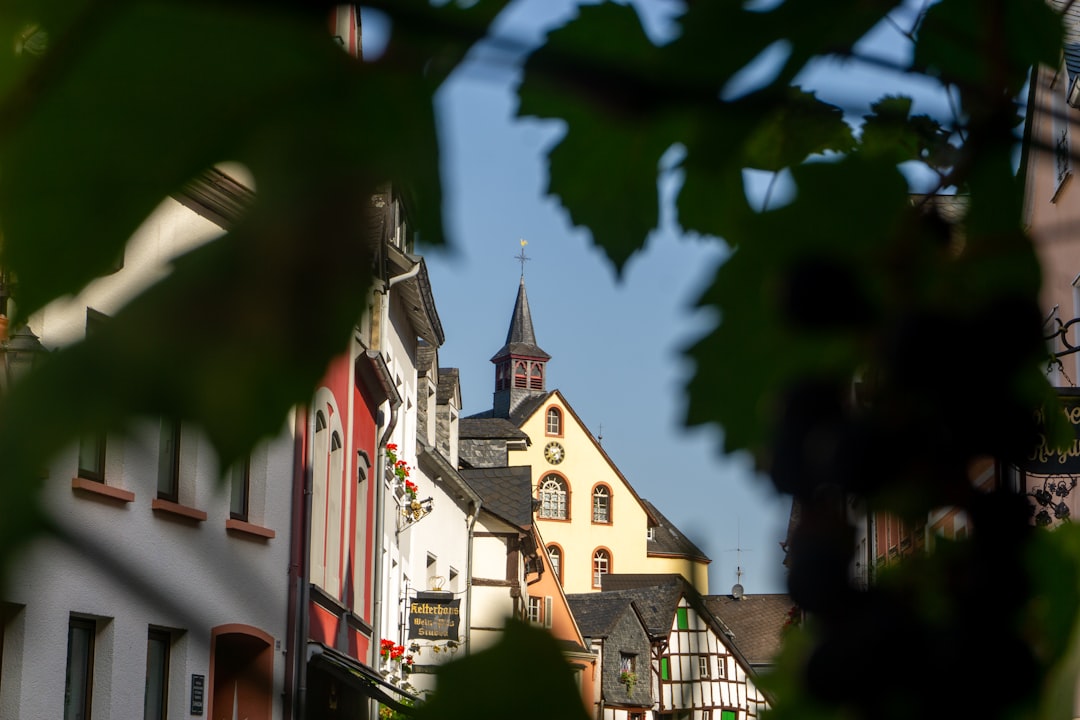 Moselle Wine Museum in Bernkastel-Kues - Cusanusstraße 2 | Secret World Trip Planner
