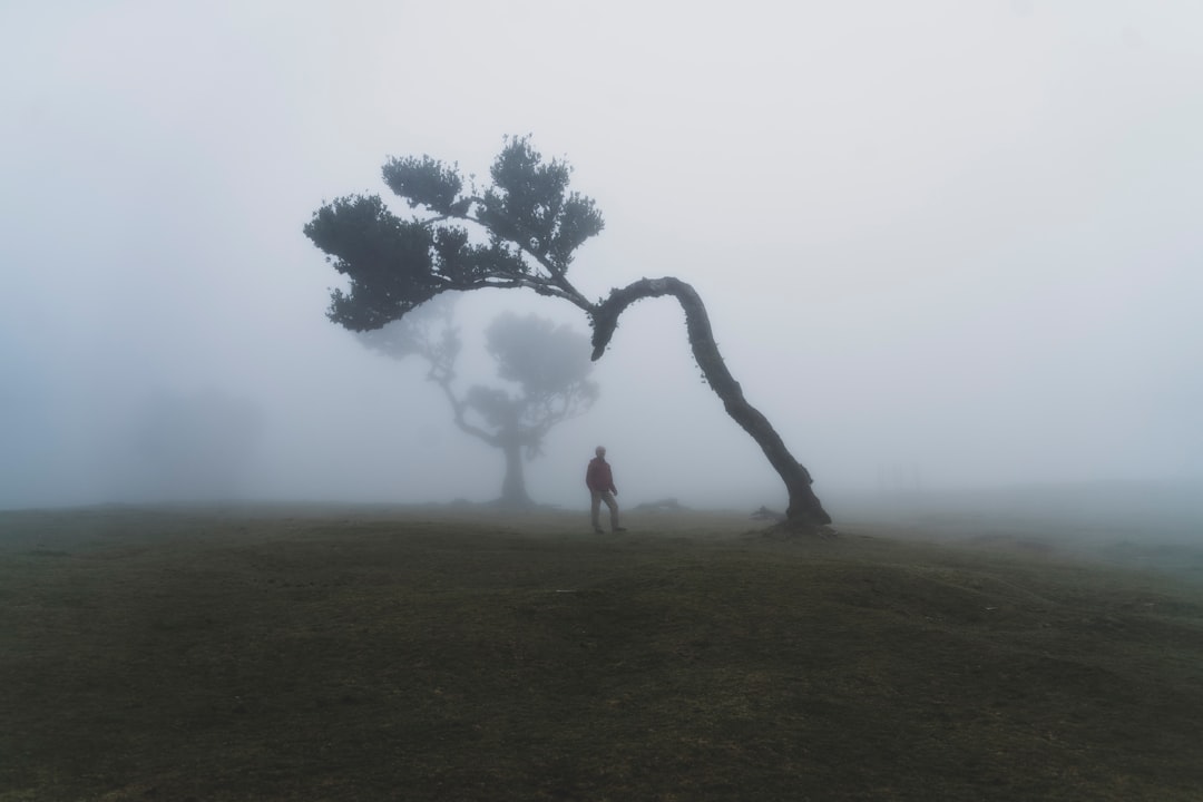 Fanal: un rincón de naturaleza virgen en Portugal - Seixal | Secret World Trip Planner