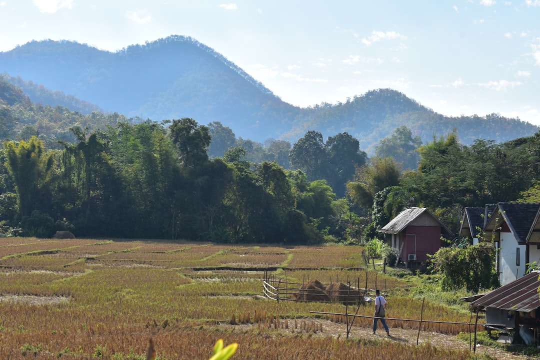 Descubra Phu Thok: a Montanha Solitária da Tailândia - Chiang Khan District | Secret World Trip Planner