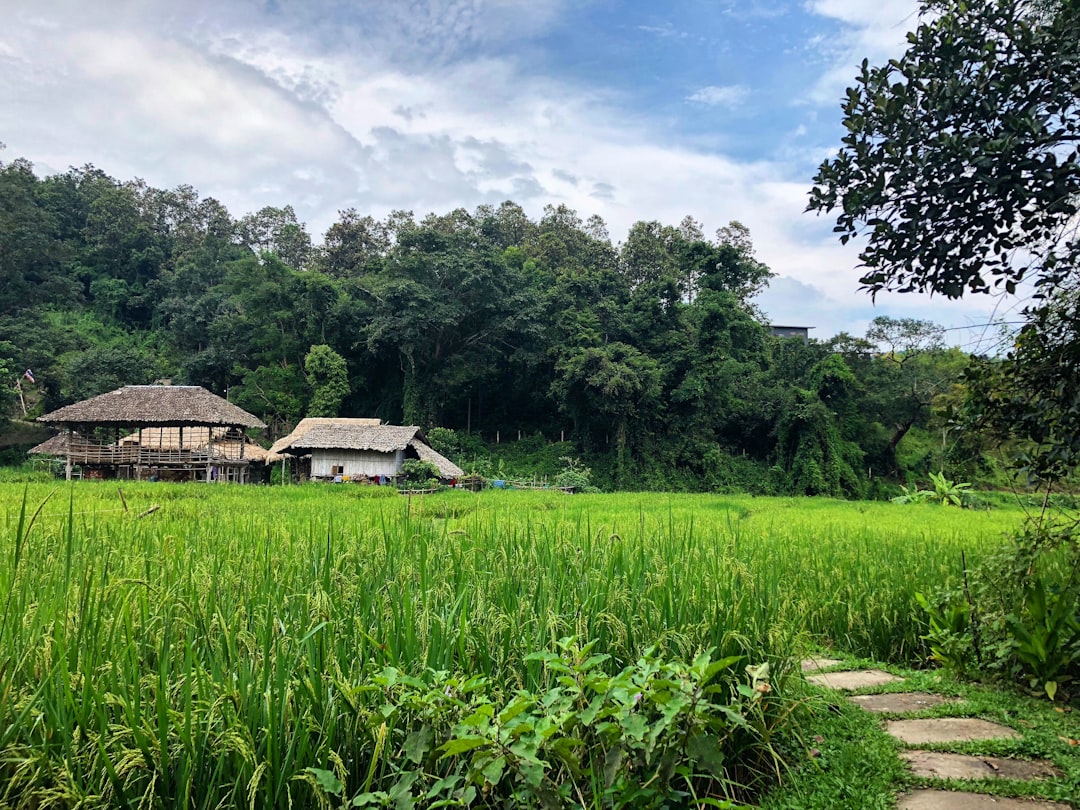 探索 Phou Khai:泰国的自然天堂 - Chaloem Phra Kiat District | Secret World Trip Planner
