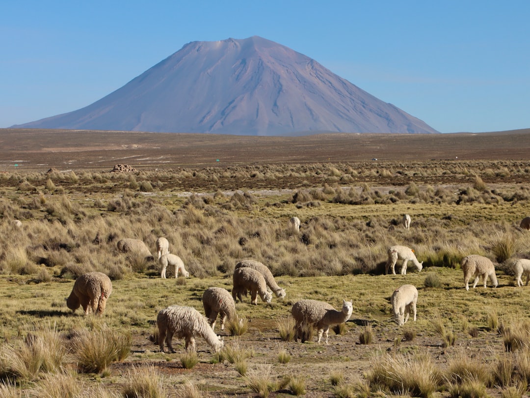 Exploring Jatunpauca: A Natural Paradise in Peru - Tanta | Secret World Trip Planner