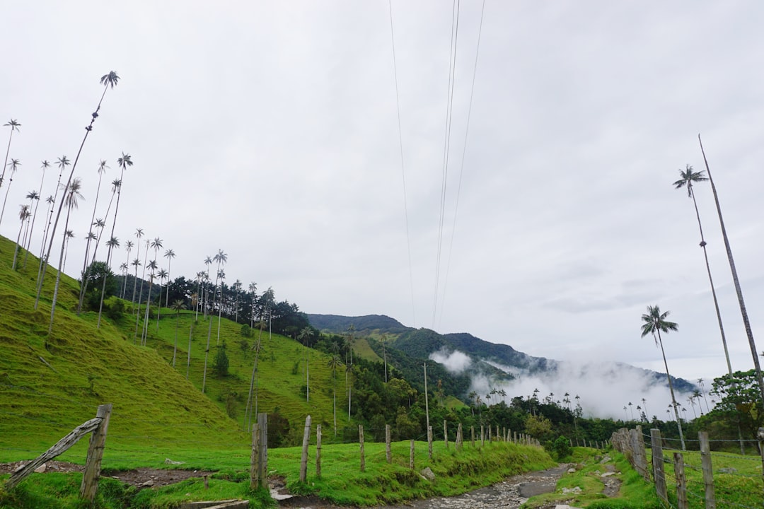探索阿尔托米拉弗洛雷斯:哥伦比亚的自然角落 | Secret World Trip Planner