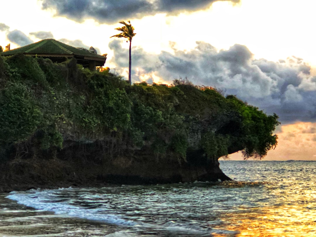 Explore a Batcave: uma viagem pela natureza do Quênia - Kakamega | Secret World Trip Planner