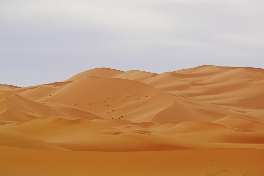 梅尔祖卡与厄尔格·切比沙丘:真实的撒哈拉 - Merzouga 52202 | Secret World Trip Planner