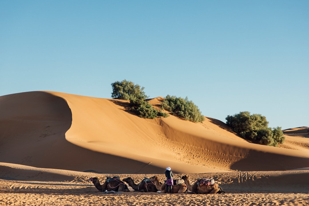 梅尔祖卡与厄尔格·切比沙丘:真实的撒哈拉 - Merzouga 52202 | Secret World Trip Planner