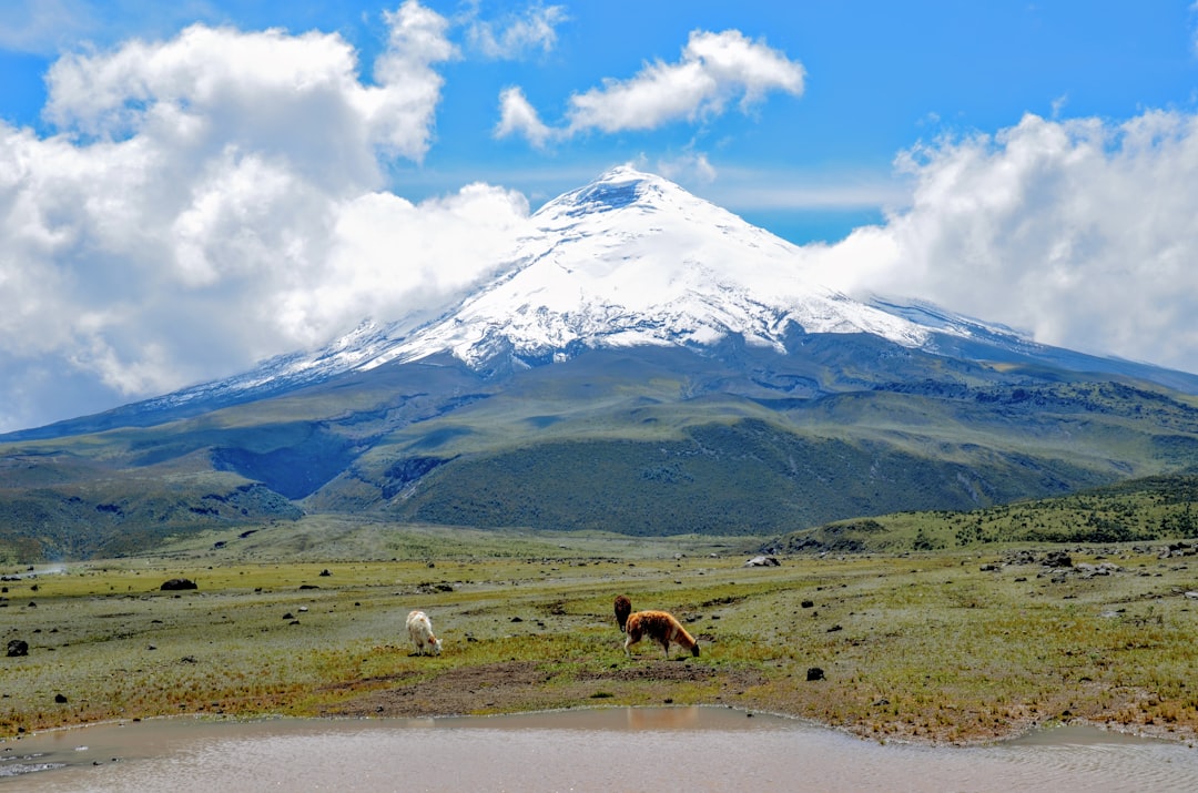 科托帕希火山:征服厄瓜多尔最高活火山 - Cotopaxi | Secret World Trip Planner