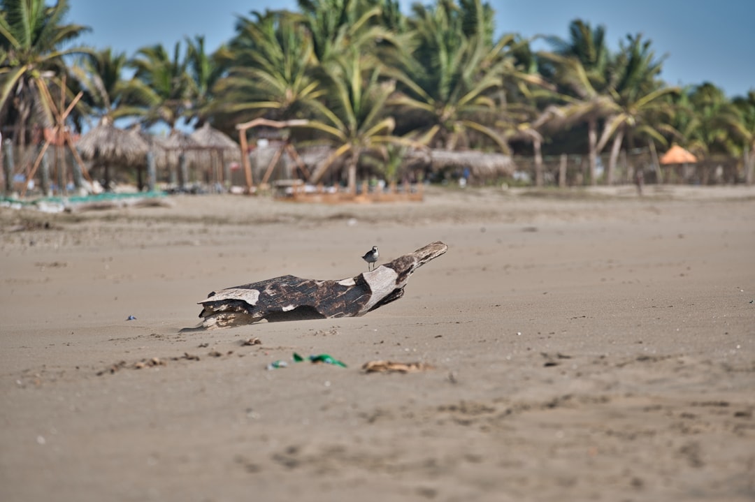 Playa Blanca: la spiaggia bianca di Barú, Colombia - Cartagena | Secret World Trip Planner