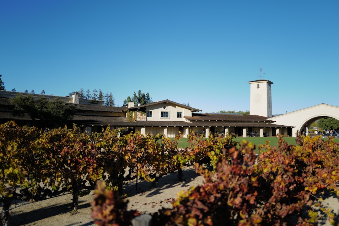 Colares: Atlantische Weine aus den Sanden Portugals - Alameda Cel. Linhares de Lima 32 | Secret World Trip Planner