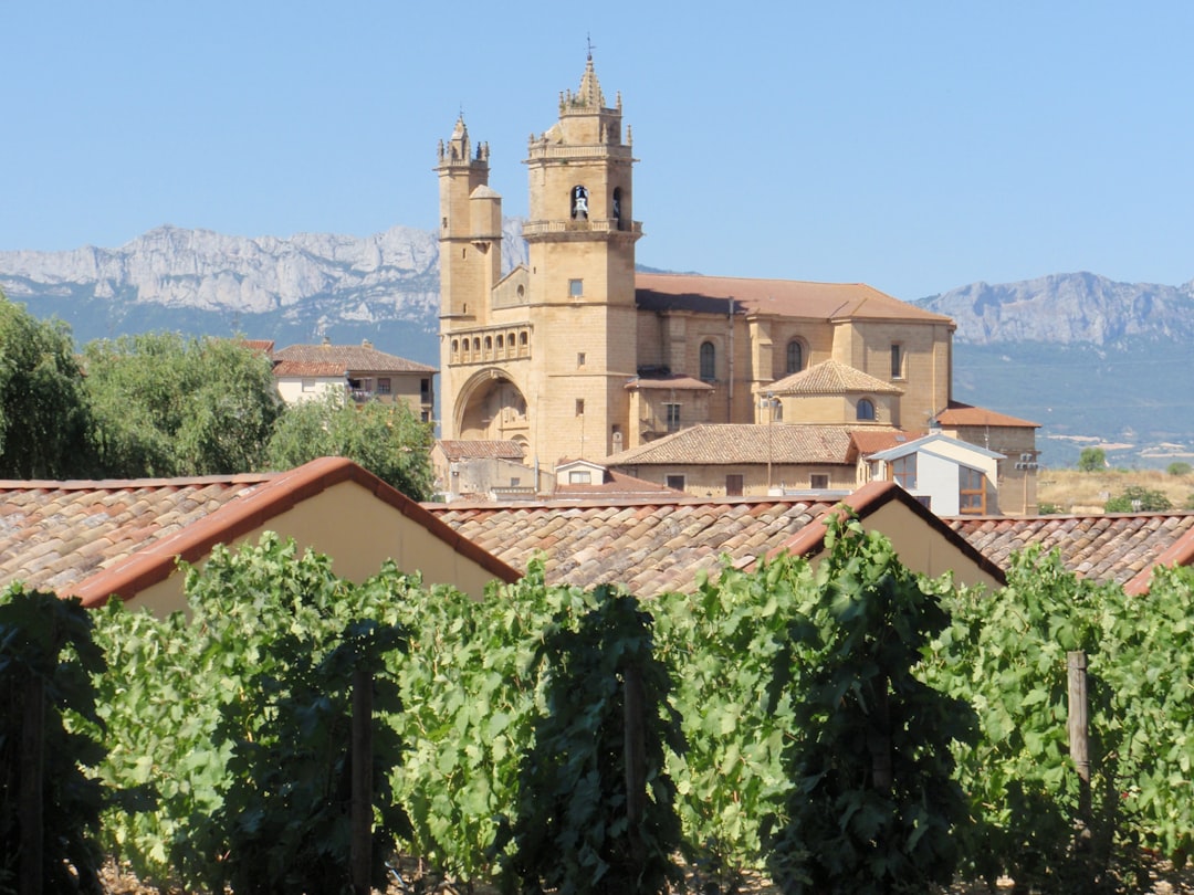 Colares: Atlantische Weine aus den Sanden Portugals - Alameda Cel. Linhares de Lima 32 | Secret World Trip Planner