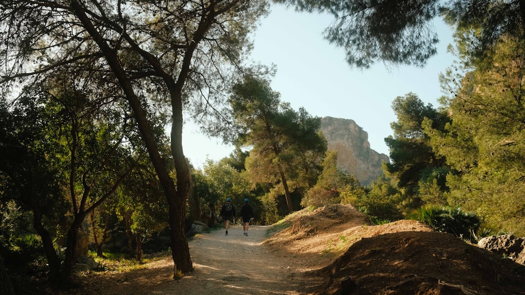 Caminito del Rey: il sentiero nelle gole di El Chorro - 29550 Ardales | Secret World Trip Planner