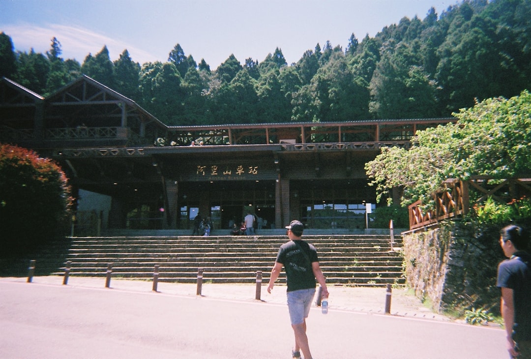 Алишан: рассвет среди облаков и тысячелетних кипарисов - Alishan Township | Secret World Trip Planner