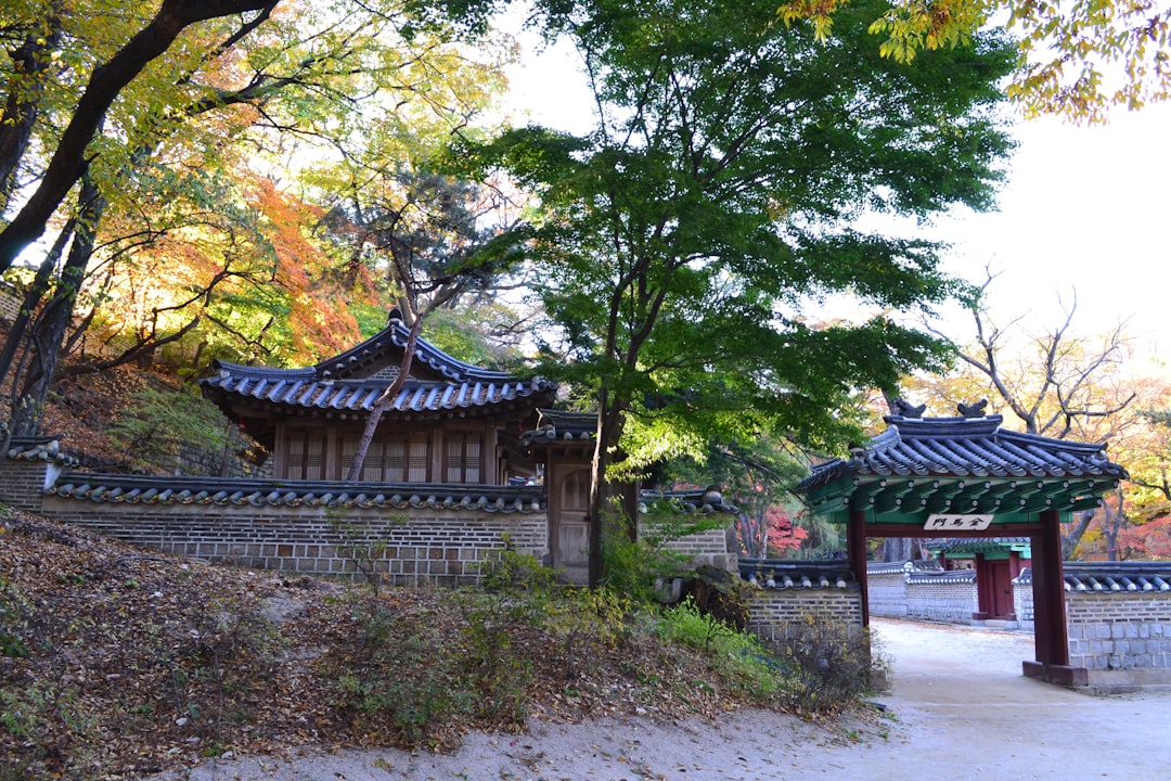 Changdeokgung: il palazzo segreto di Seoul - Jongno District | Secret World Trip Planner