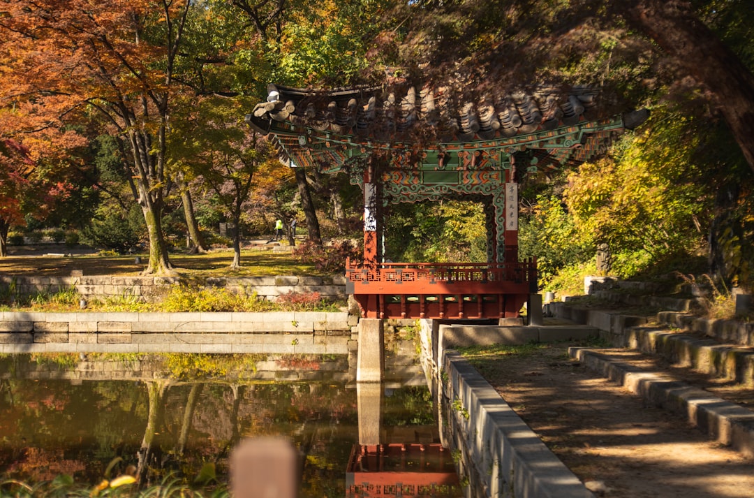 Changdeokgung: el palacio secreto de Seúl - Jongno District | Secret World Trip Planner