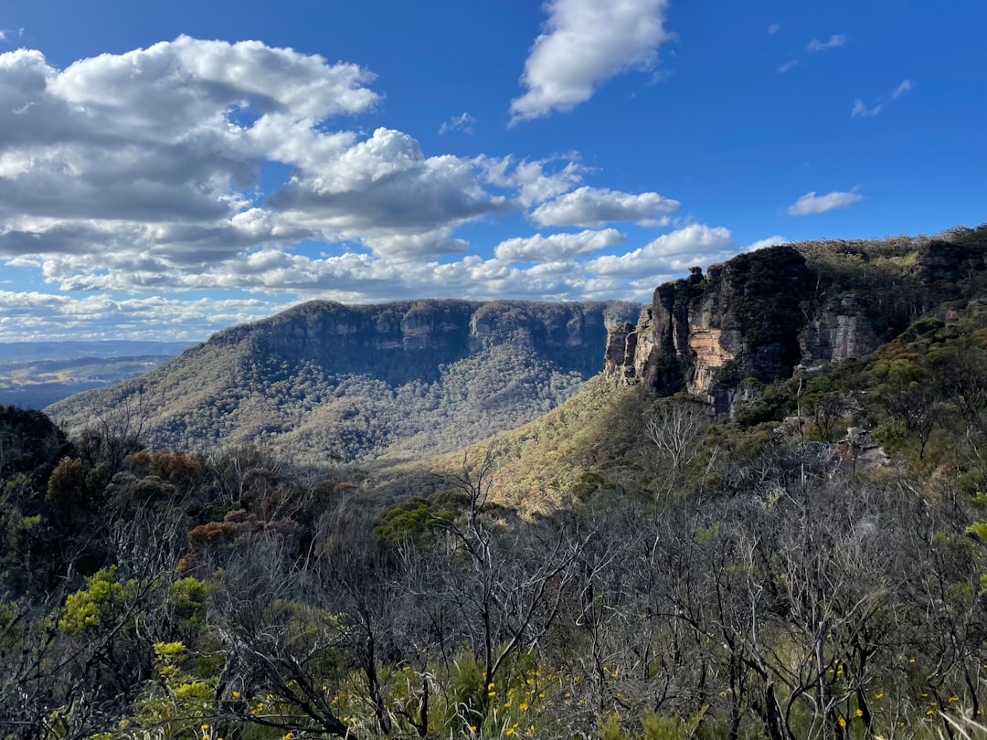 蓝山:桉树与砂岩间的野性自然 - Nuovo Galles del Sud | Secret World Trip Planner