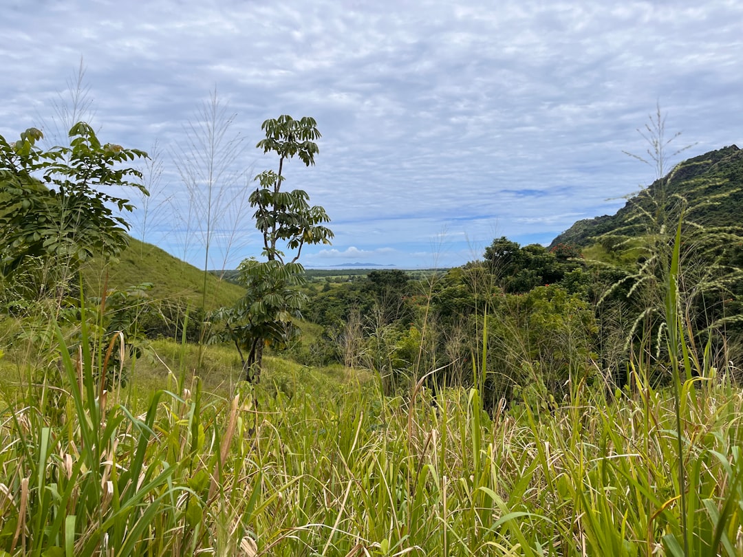 Garden of the Sleeping Giant: orchidee tra le Figi - Wailoko Road | Secret World Trip Planner