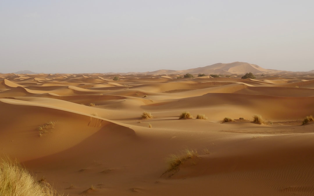 에르그 체비: 메르주가의 오렌지 사구와 별빛 밤 - desert | Secret World Trip Planner