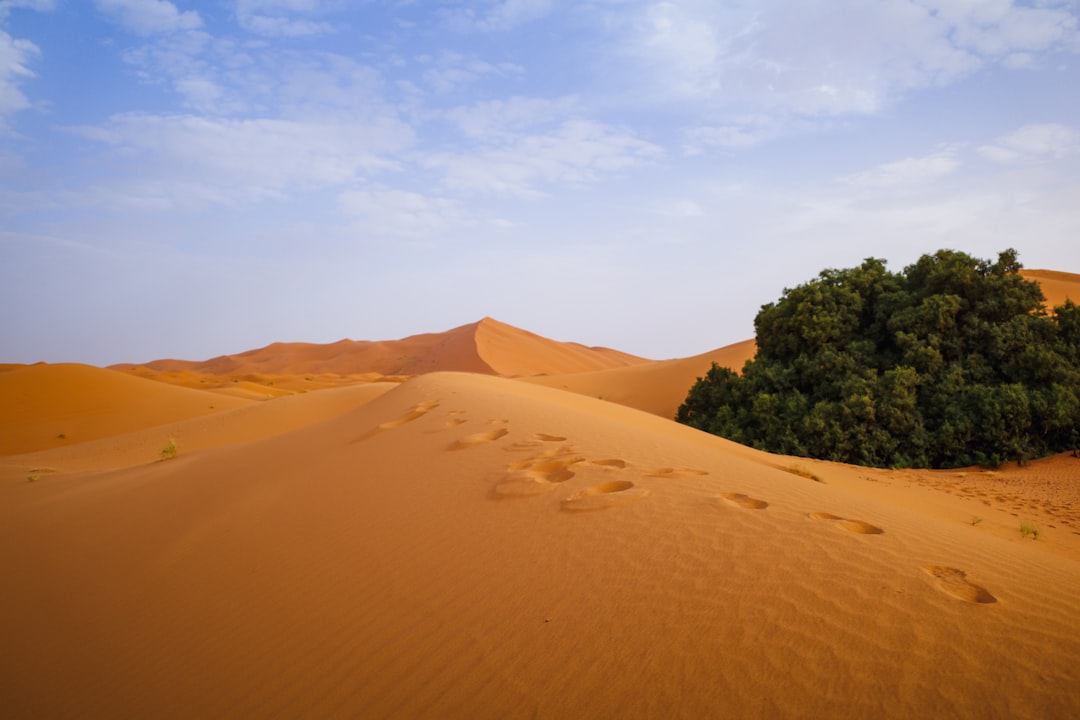 埃尔格切比:梅尔祖卡的橙色沙丘与星空之夜 - desert | Secret World Trip Planner