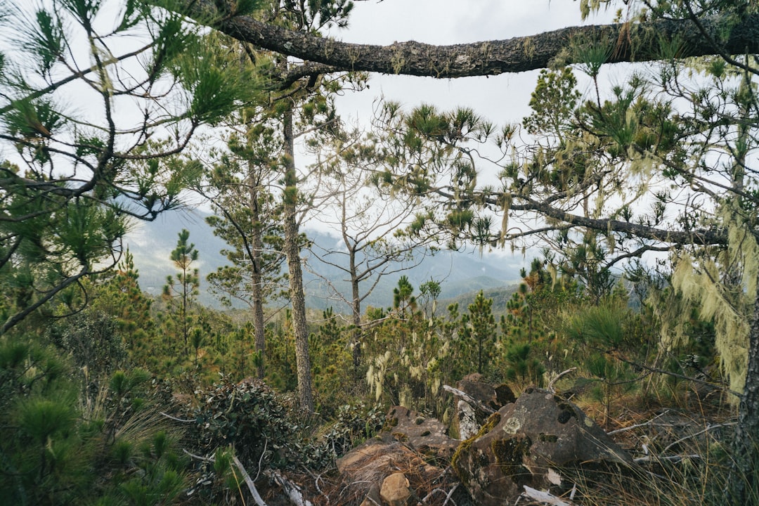 Pico Duarte: trekking sul tetto dei Caraibi - Pico Duarte | Secret World Trip Planner