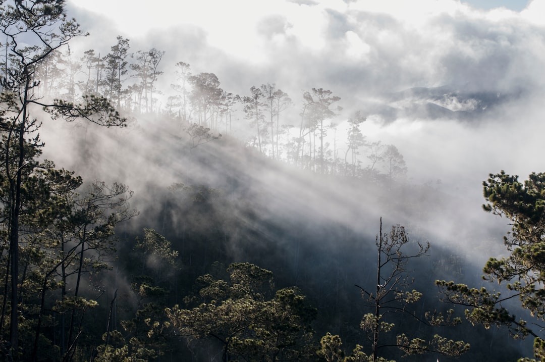Pico Duarte: trekking no topo dos Caraíbas - Pico Duarte | Secret World Trip Planner
