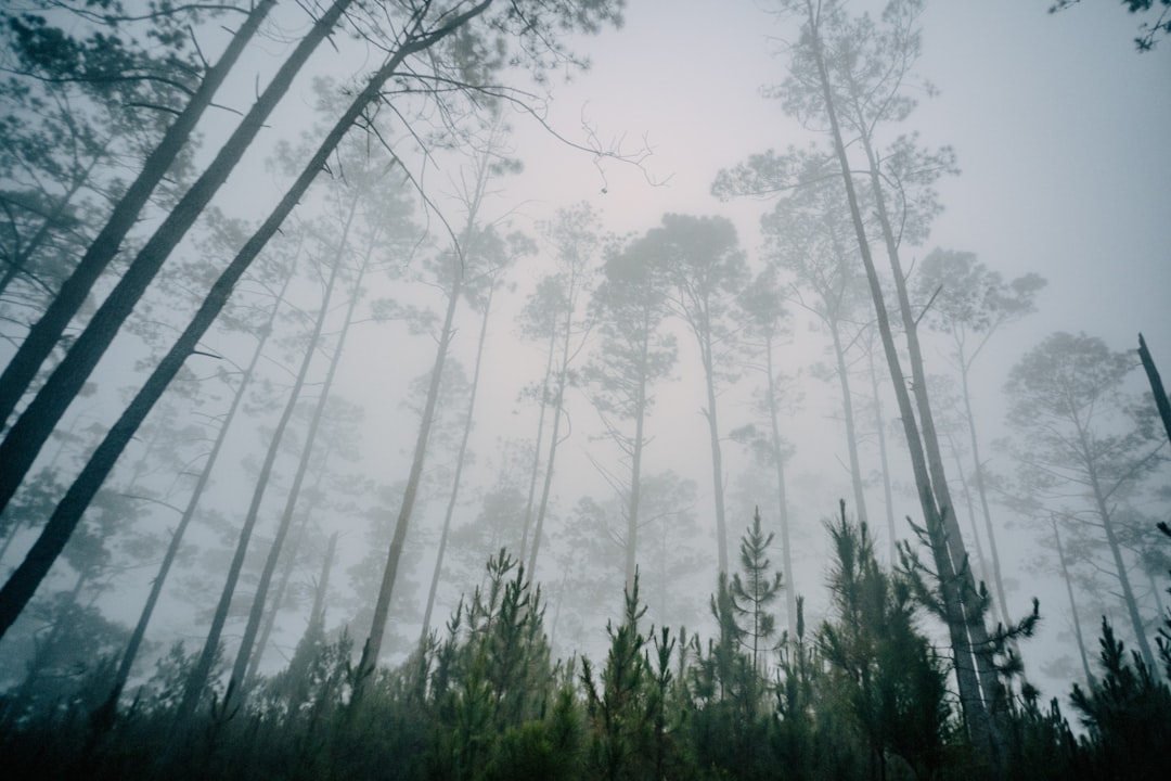 Pico Duarte: trekking no topo dos Caraíbas - Pico Duarte | Secret World Trip Planner